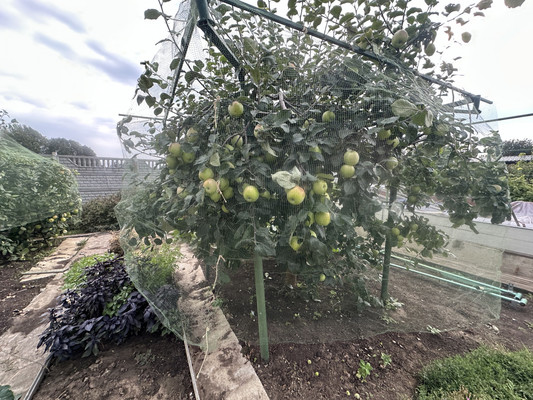 Продам коттедж, Новая ул, Ташкирмень с, 0 км от города