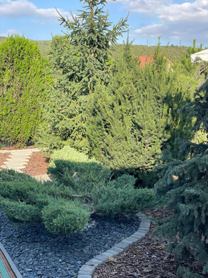 Продам дом, им. И. Гаспринского ул, 1кб, Андрусово с, 0 км от города