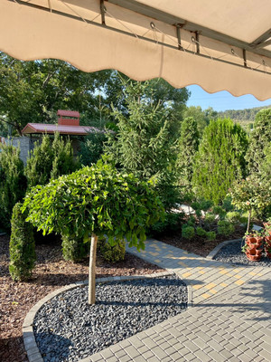 Продам дом, им. И. Гаспринского ул, 1кб, Андрусово с, 0 км от города