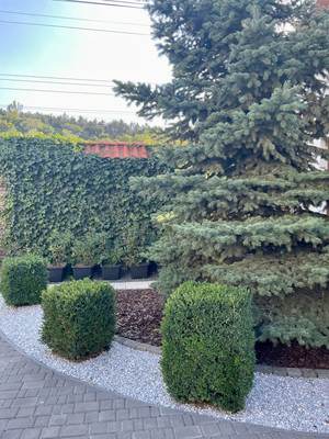 Продам дом, им. И. Гаспринского ул, 1кб, Андрусово с, 0 км от города