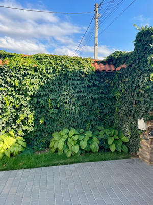 Продам дом, им. И. Гаспринского ул, 1кб, Андрусово с, 0 км от города