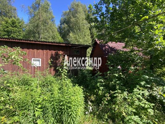 Продам дачу, СНТ Золотой Колос масс. Орехово 67-69 км тер, 70 км от города