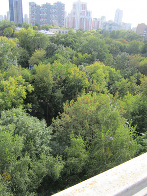 Продам однокомнатную (1-комн.) квартиру, Генерала Глаголева ул, 30к3, Москва г