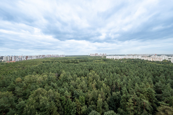Продам трехкомнатную (3-комн.) квартиру, Старокрымская ул, 15к2, Москва г