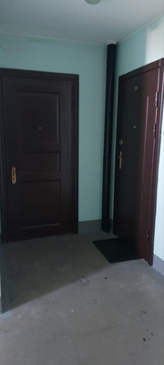 Продам однокомнатную (1-комн.) квартиру, Приморское ш, 291А, Сестрорецк г