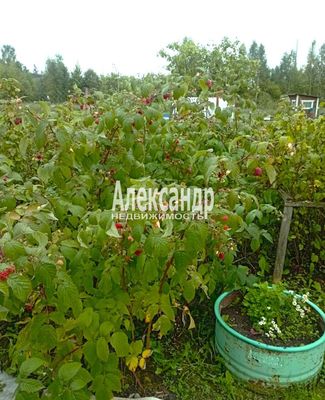 Продам участок 14 соток, ЛПХ, Возрождение п, 126 км от города