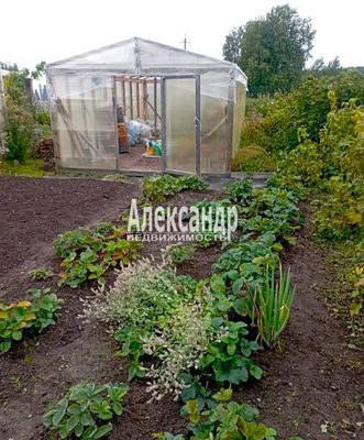 Продам участок 14 соток, ЛПХ, Возрождение п, 126 км от города