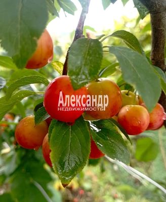 Продам участок 14 соток, ЛПХ, Возрождение п, 126 км от города