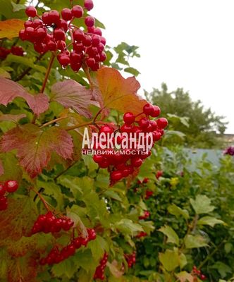 Продам участок 14 соток, ЛПХ, Возрождение п, 126 км от города