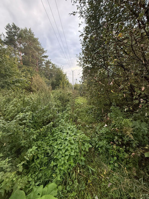 Продам участок 20 соток, ИЖС, Новая Поляна д, 0 км от города