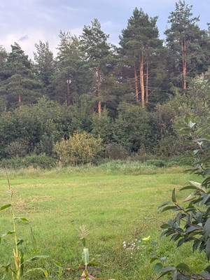 Продам участок 20 соток, ИЖС, Новая Поляна д, 0 км от города