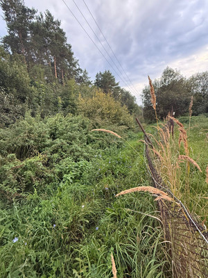 Продам участок 20 соток, ИЖС, Новая Поляна д, 0 км от города