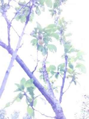 Продам участок 4,2 соток, Фермерское хоз., БИС ул, Нижний Тагил г, 0 км от города