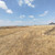 Продам участок 20 соток, ИЖС, Полевой пер, Шалушка с, 0 км от города