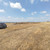 Продам участок 20 соток, ИЖС, Полевой пер, Шалушка с, 0 км от города