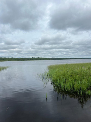 Продам участок 15 соток, ИЖС, Заозерье д, 0 км от города