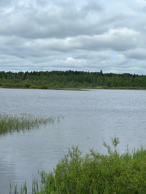 Продам участок 15 соток, ИЖС, Заозерье д, 0 км от города