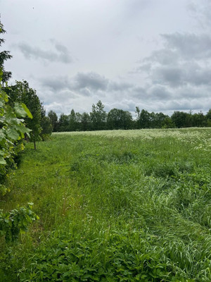 Продам участок 15 соток, ИЖС, Заозерье д, 0 км от города