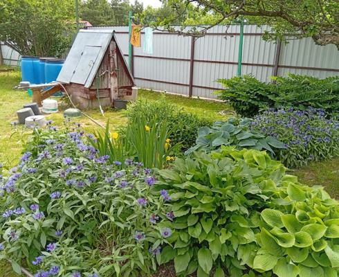 Продам дом, Полевая ул, Симбухово д, 0 км от города