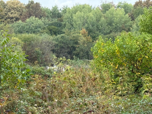 Продам участок 20 соток, ИЖС, Красногорская ул, 18, Красная Горка х, 0 км от города