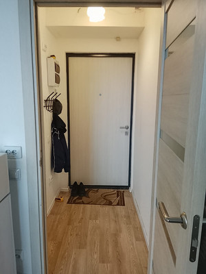 Сдам однокомнатную (1-комн.) квартиру, Чарушинская ул, 26к1, Санкт-Петербург г