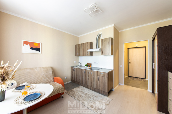 Продам однокомнатную (1-комн.) квартиру, Среднерогатская ул, 16к4 стр 1, Санкт-Петербург г