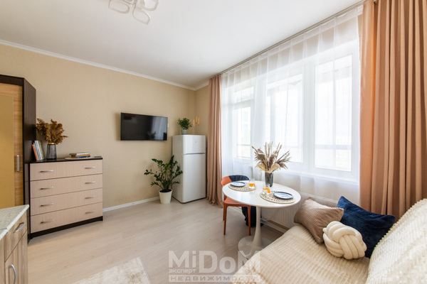 Продам однокомнатную (1-комн.) квартиру, Среднерогатская ул, 16к4 стр 1, Санкт-Петербург г