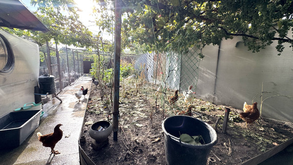 Продам дом, Майкопская ул, 74, Родниковская ст-ца, 0 км от города