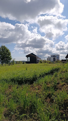 Продам участок 9,78 соток, Фермерское хоз., Берлинская (Морское тер. СНТ) ул, Куликово п, 0 км от города