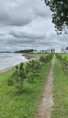 Продам участок 9,78 соток, Фермерское хоз., Берлинская (Морское тер. СНТ) ул, Куликово п, 0 км от города