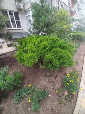 Продам двухкомнатную (2-комн.) квартиру, Лермонтова ул, 118, Анапа г