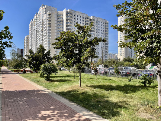 Продам однокомнатную (1-комн.) квартиру, Окская ул, 1к1, Москва г