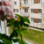 Продам двухкомнатную (2-комн.) квартиру, Тихая ул, 257, Калининград г