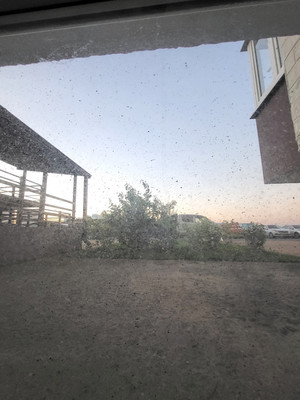 Продам торговое помещение 10,5 м2, Висаитова ул, 10/9, Ростов-на-Дону г