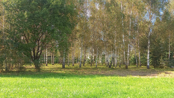 Продам дом, Борзые д, 0 км от города