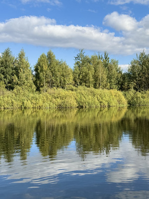 Продам однокомнатную (1-комн.) квартиру, Долгопрудненское ш, 3а, Москва г