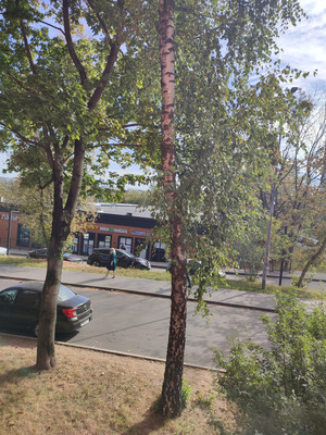 Продам двухкомнатную (2-комн.) квартиру, Весёлая ул, 4, Москва г