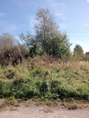 Продам участок 12 соток, ИЖС, Летово д, 0 км от города