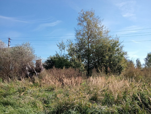 Продам участок 12 соток, ИЖС, Летово д, 0 км от города