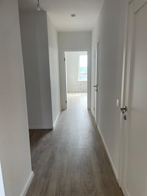 Продам трехкомнатную (3-комн.) квартиру, Южная ул, 12к1, Брёхово х