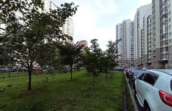 Продам двухкомнатную (2-комн.) квартиру, Коллонтай ул, 6к1, Санкт-Петербург г