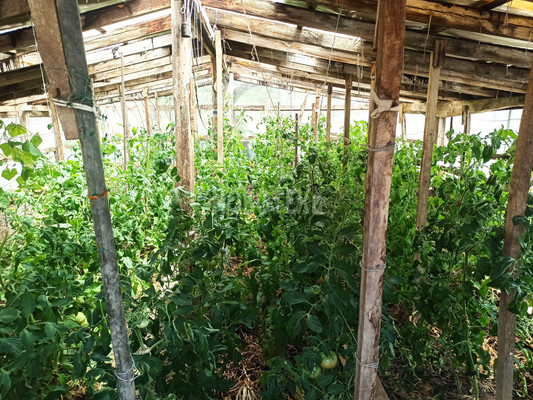 Продам дом, Труда ул, 20, Армянский х, 0 км от города