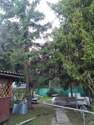 Продам дом, СПК Пахра тер, Ожигово д, 0 км от города