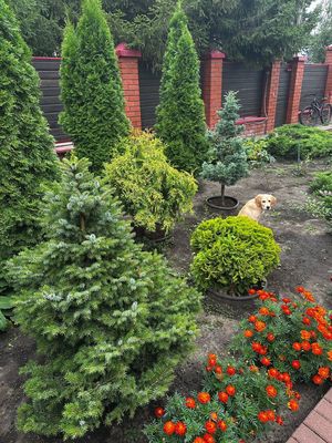 Продам коттедж, Солнечная ул, 65а, Ореховка д, 5 км от города