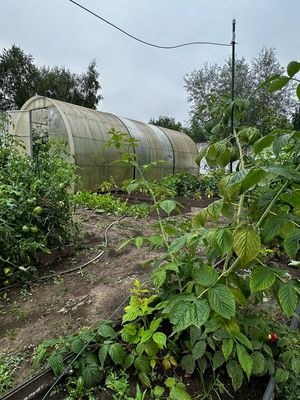 Продам коттедж, Солнечная ул, 65а, Ореховка д, 5 км от города