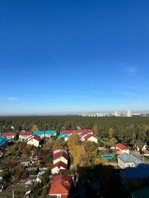 Продам однокомнатную (1-комн.) квартиру, Змеиногорский тракт, 82, Барнаул г