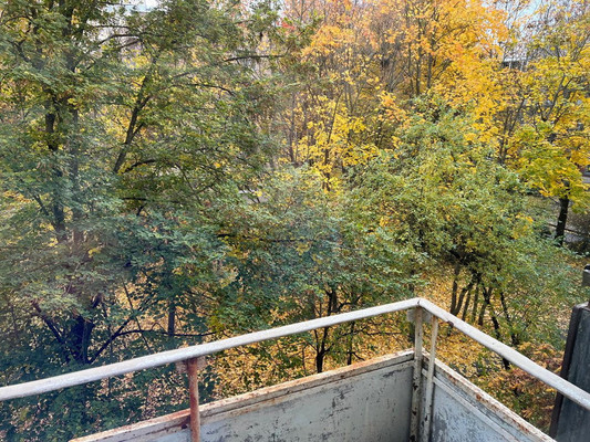 Продам трехкомнатную (3-комн.) квартиру, Артиллерийская ул, 4А, Пушкин г