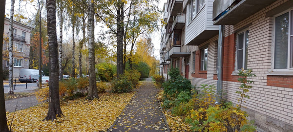Продам трехкомнатную (3-комн.) квартиру, Артиллерийская ул, 4А, Пушкин г