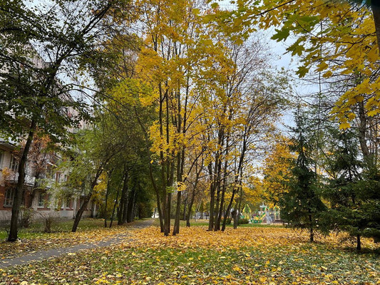 Продам трехкомнатную (3-комн.) квартиру, Артиллерийская ул, 4А, Пушкин г