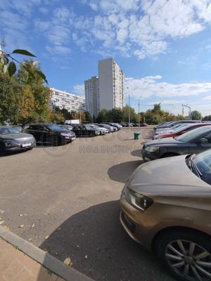 Продам двухкомнатную (2-комн.) квартиру, Ореховый б-р, 55/16, Москва г